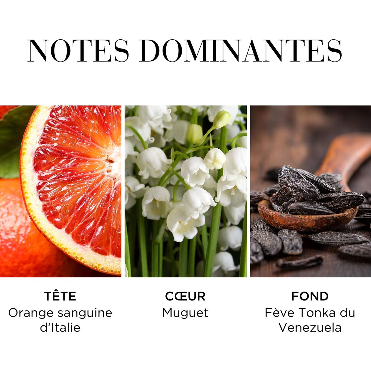 Dameparfume Elizabeth Arden WHITE TEA for Women produktemballage