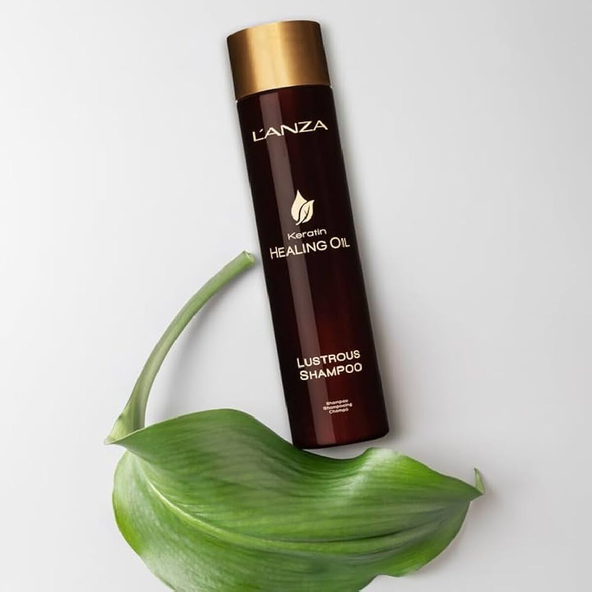 Shampoo L'ANZA 300 ml shampooflaske