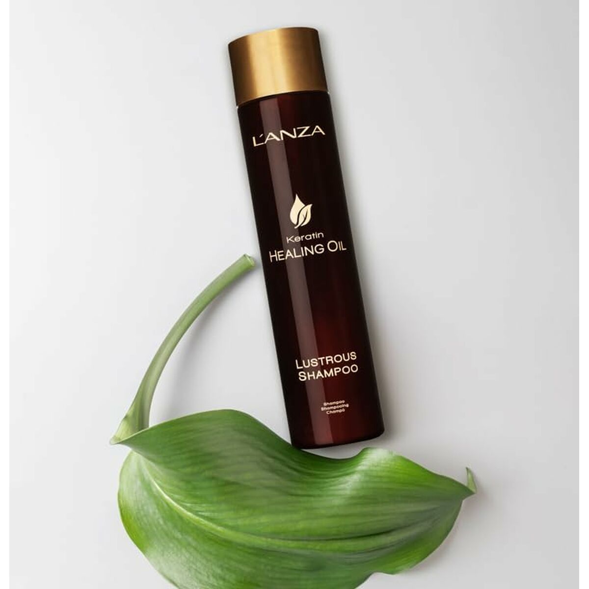 Shampoo L'ANZA 300 ml shampooflaske
