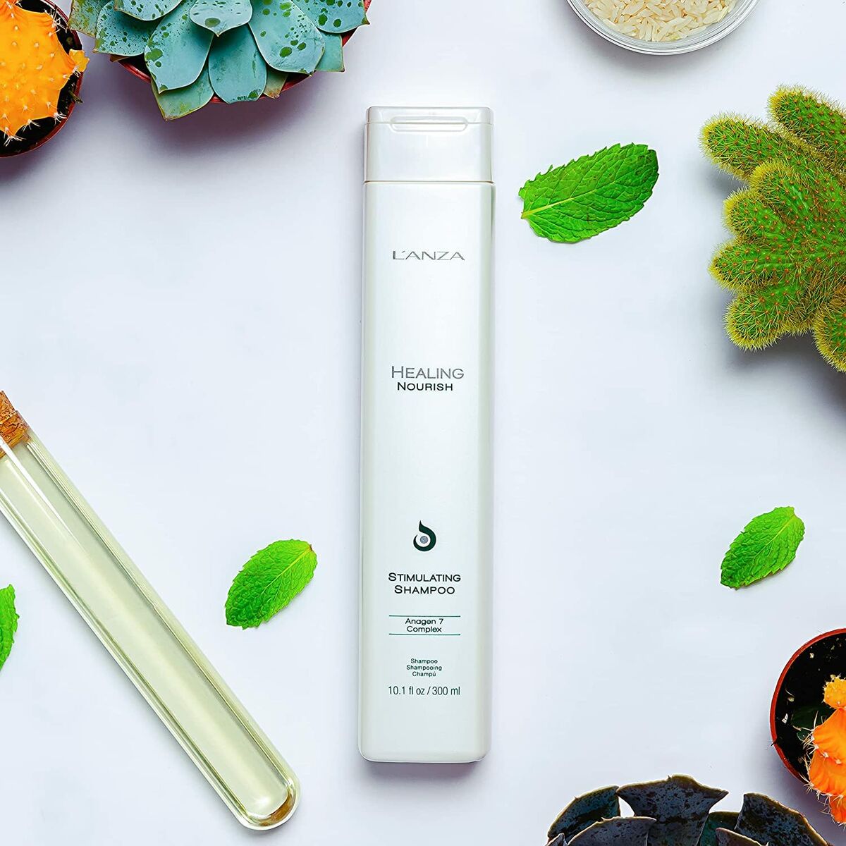Revitaliserende Shampoo L'ANZA Healing Moisture 300 ml til kvinder shampooflaske