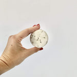 Shampoo Bar The Organic Republic Champú Sólido 70 g shampooflaske