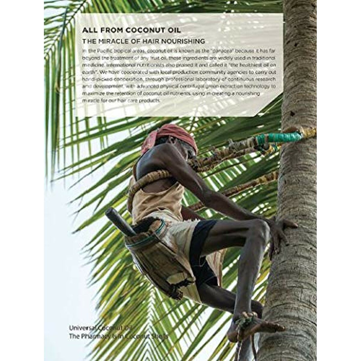 Fugtgivende shampoo Beaver KOKOSOLIE & QUINOA 350 ml shampooflaske