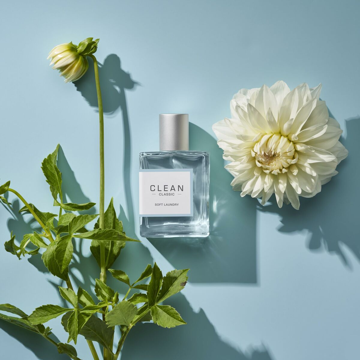 Unisex Parfume Clean for Women produktemballage
