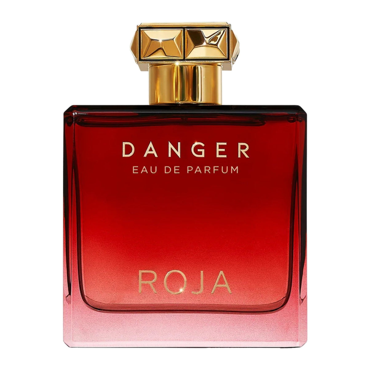 Roja Danger Pour Homme Eau de Parfum 100 ml Roja