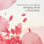 Body Lotion L'Occitane En Provence FLEURS DE CERISIER hudplejeemballage