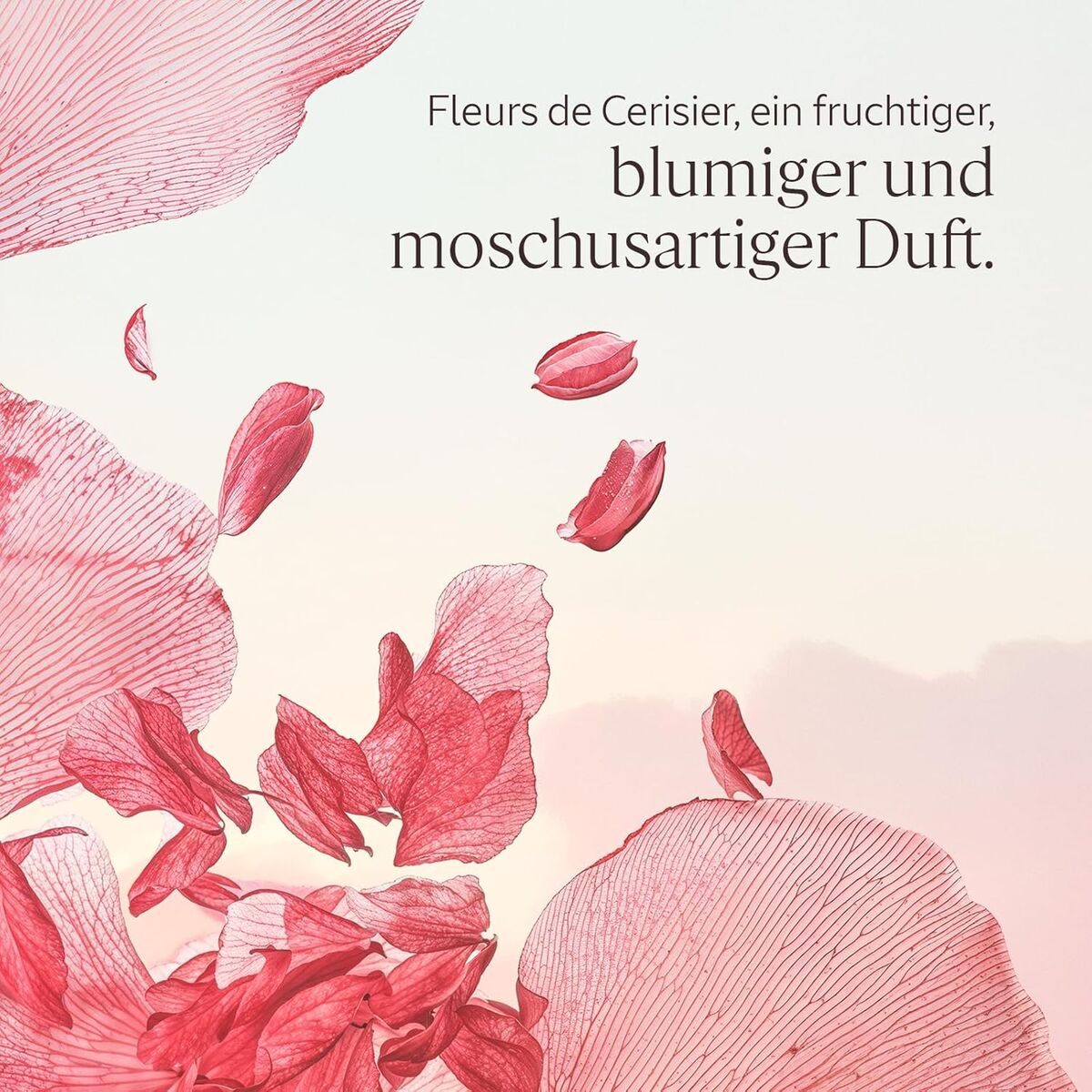 Reducing Cream L'Occitane En Provence FLEURS DE CERISIER hudplejeemballage