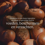 V2H041997C42F7DDFE15E14C3424FBB1403R7711616P1