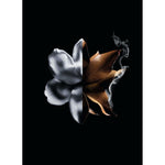 Dameparfume Givenchy L'Interdit Absolu L'Interdit Absolu 50 ml til kvinder produktemballage