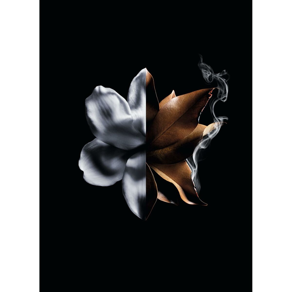 Dameparfume Givenchy L'Interdit Absolu L'Interdit Absolu 50 ml til kvinder produktemballage
