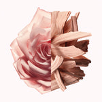 Dameparfume Givenchy IRRESISTIBLE NUDE VELVET EDP 80 ml til kvinder flaske