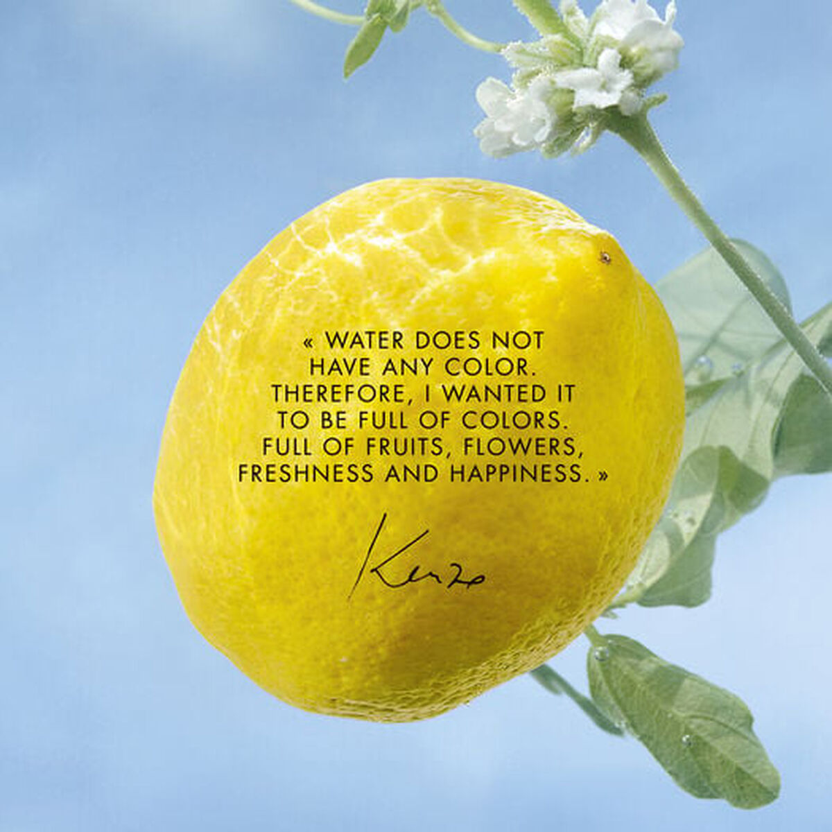 Unisex parfume Kenzo L'EAU PURE 50 ml produktemballage