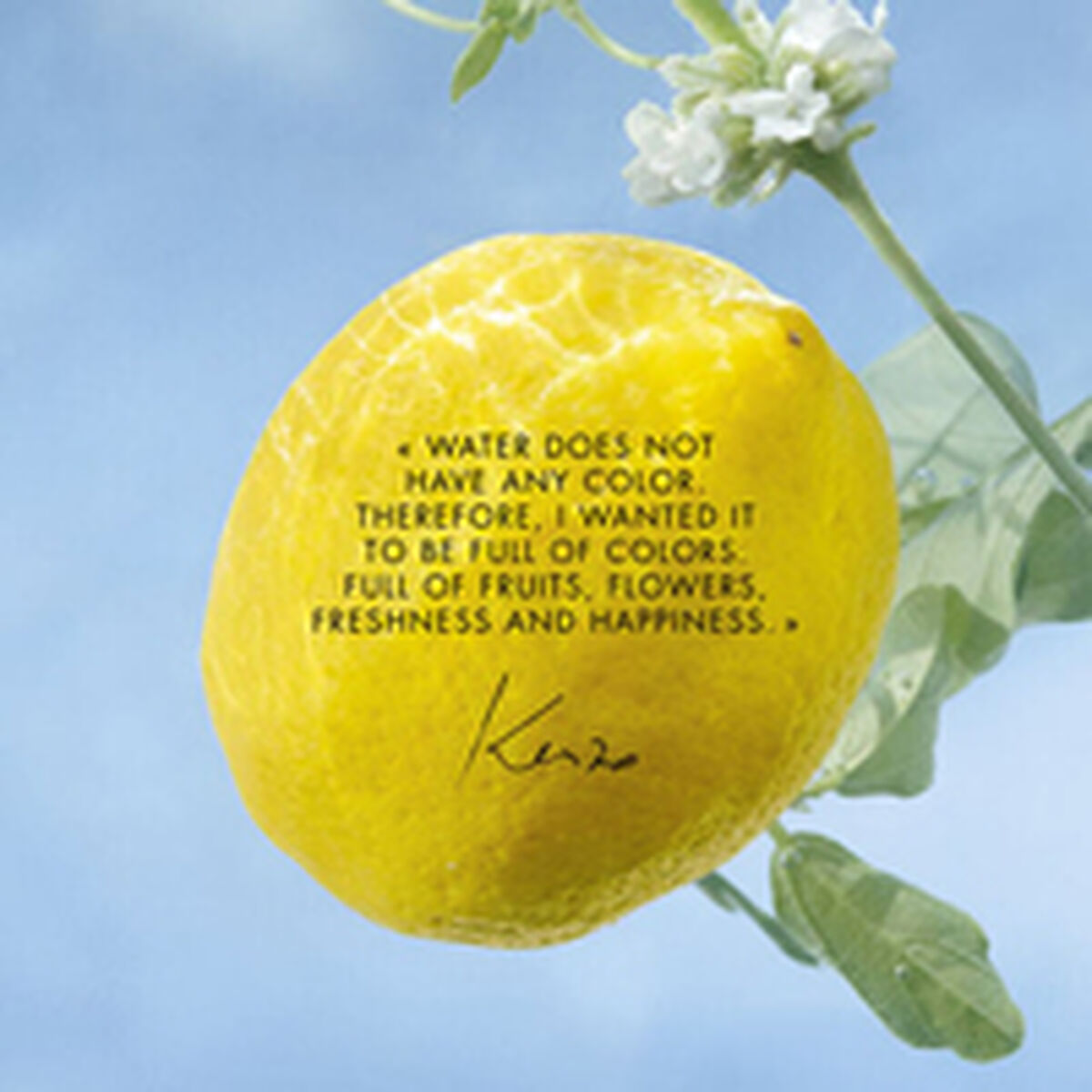 Unisex parfume Kenzo L'EAU PURE 50 ml produktemballage