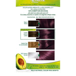 Permanent farvestof Garnier Nutrisse Nº 4,26 Nº 4,26-Cassis 1 U (3 enheder) produktemballage