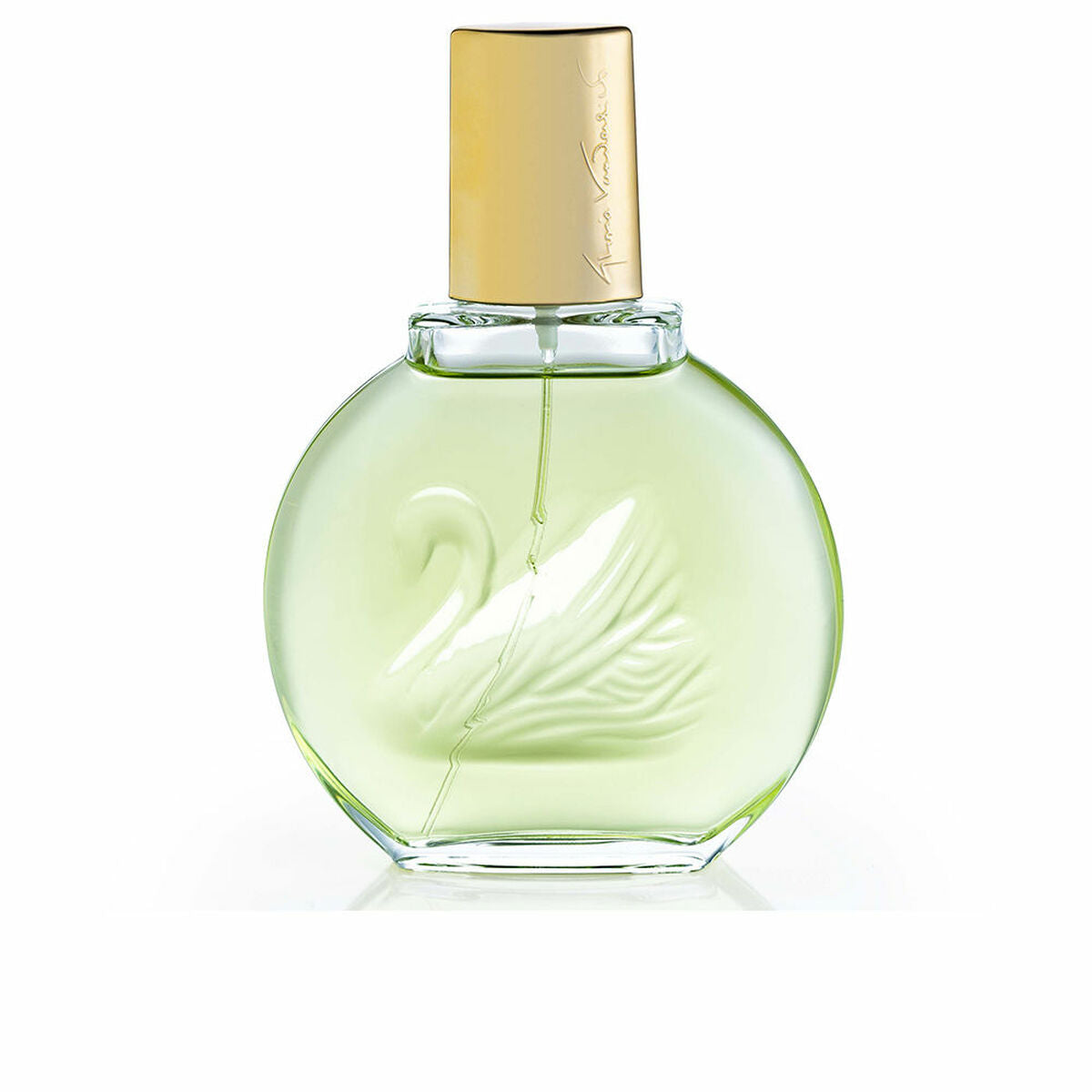 Dameparfume Vanderbilt JARDIN À NEW YORK 100 ml til Dame produktemballage