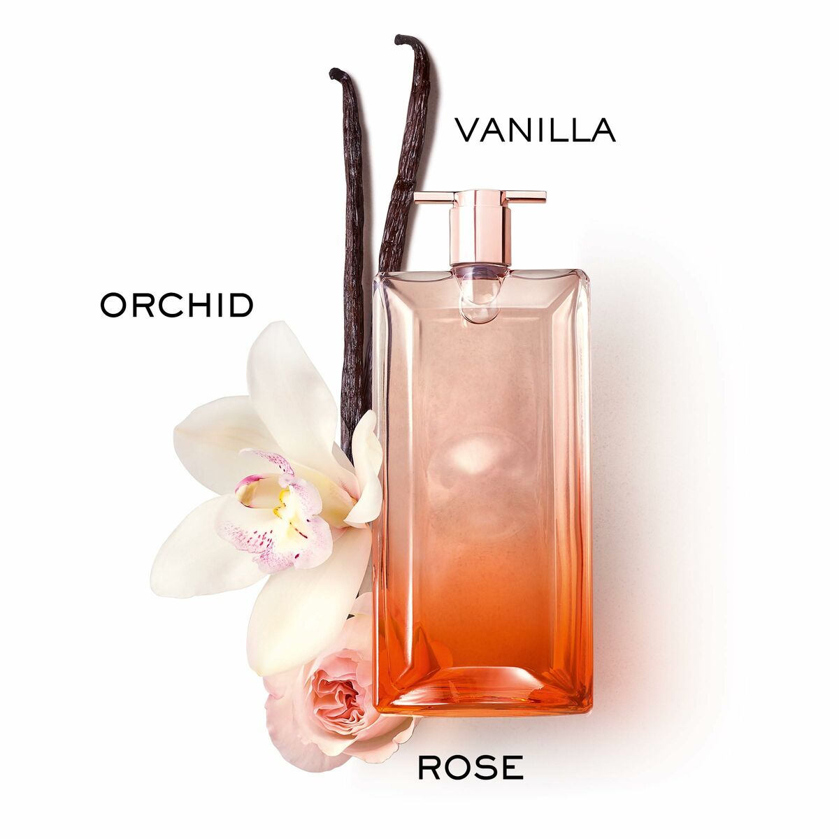 Dameparfume Lancôme Idôle Now EDP 100 ml til Dameflaske