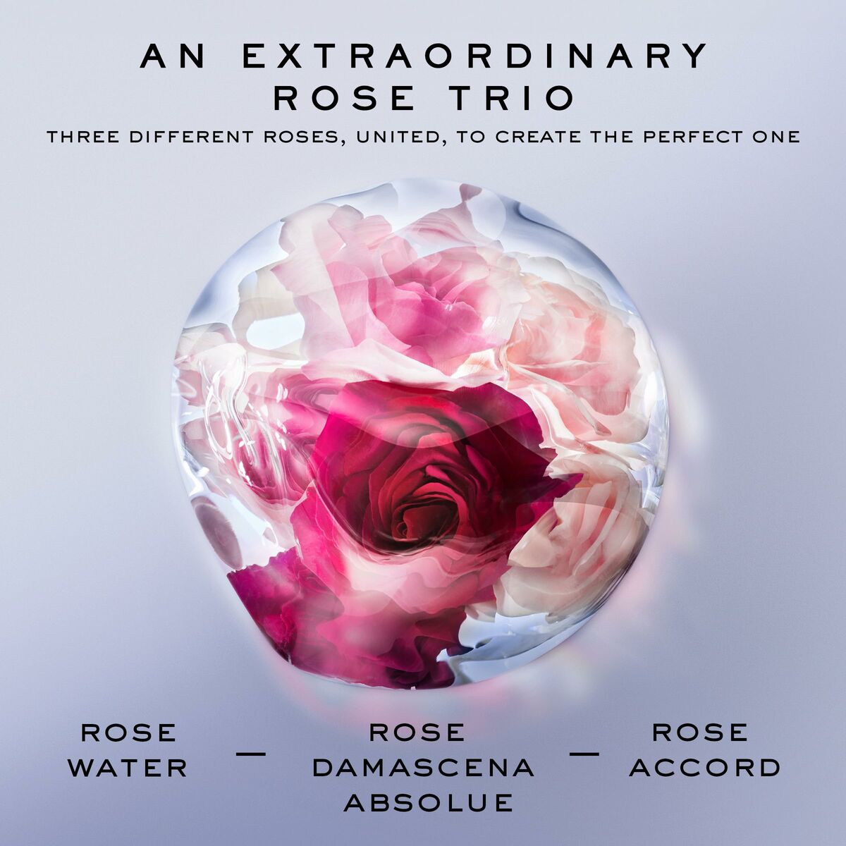 Dameparfume Lancôme La Vie Est Belle Rose Extraordinaire EDP EDT 100 ml til kvinder flaske