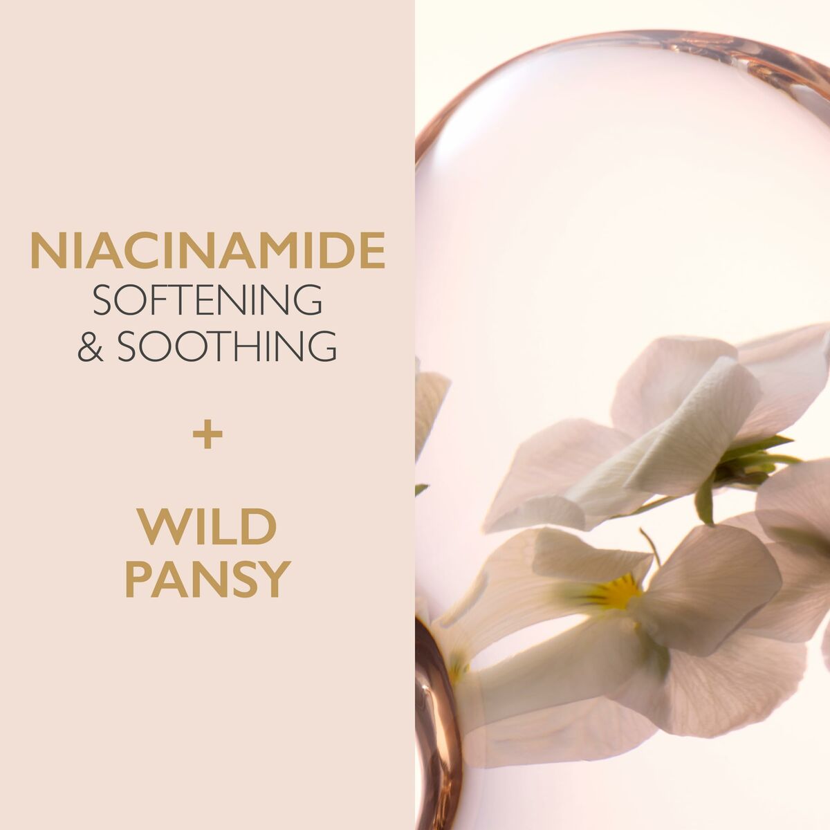 Facial Cream Lancaster Cleansers 400 ml til kvinder hudpleje emballage