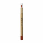 Lip Liner Pencil Color Elixir Max Factor Nº 025 Brown n Bold (10 g) makeup-emballage