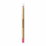 Lip Liner Pencil Color Elixir Max Factor Nº 35 Pink Princess (10 g) makeup-emballage