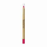 Lip Liner Pencil Color Elixir Max Factor Nº 45 Rosy Berry (10 g) makeup-emballage