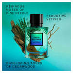 Herreparfume David Beckham True Instinct EDP 75 ml til mænd flaske