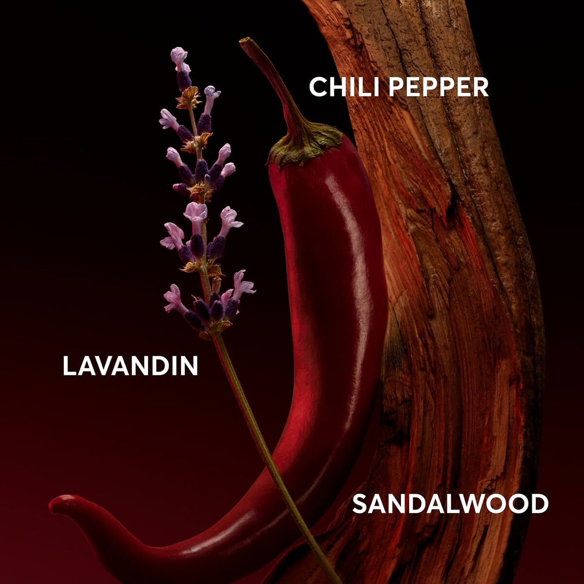 Herreparfume BOSS THE SCENT FOR HIM ELIXIR EDP 50 ml til mænd flaske