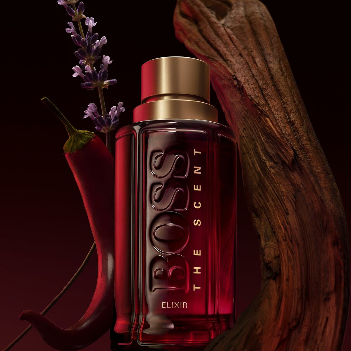 Herreparfume BOSS THE SCENT FOR HIM ELIXIR EDP 50 ml til mænd flaske