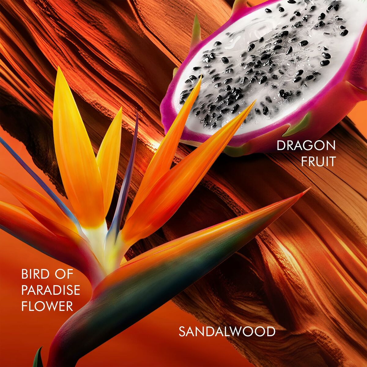 Dameparfume Escada BALI PARADISE 100 ml til Dame-produktemballage