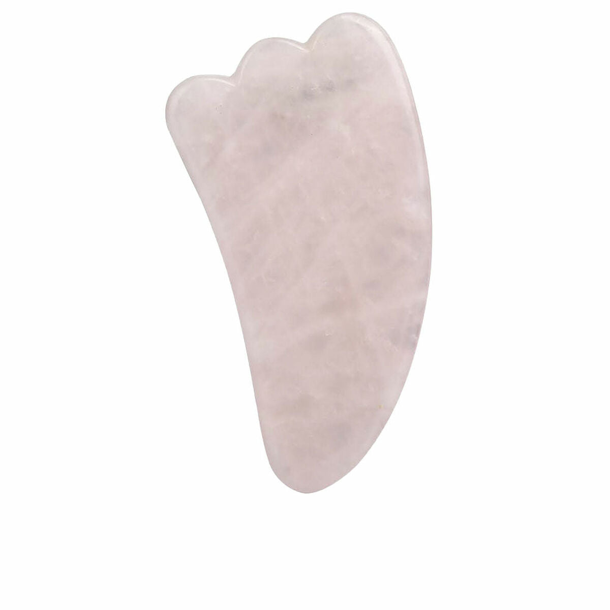 Ansigtsrensebørste Paloma Beauties HIGIENE Y BIENESTAR Pink produktemballage