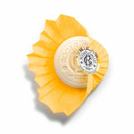 Shower Gel Roger & Gallet Bois Orange 100 g til kvinder hudpleje emballage
