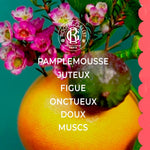 Unisex parfume Roger & Gallet FLEUR DE FIGUIER Fleur De Figuier produktemballage