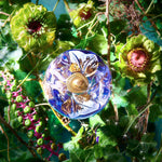 Dameparfume Lolita Lempicka Le Parfum EDP 50 ml til Dame flaske