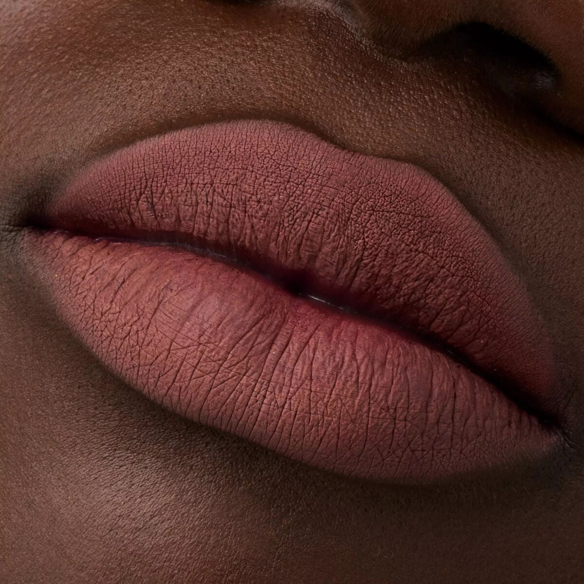 Lip Liner Catrice Plumping Nº 069 Mainhattan Nº 069-Mainhattan 0,35 g 0,35 g makeup emballage