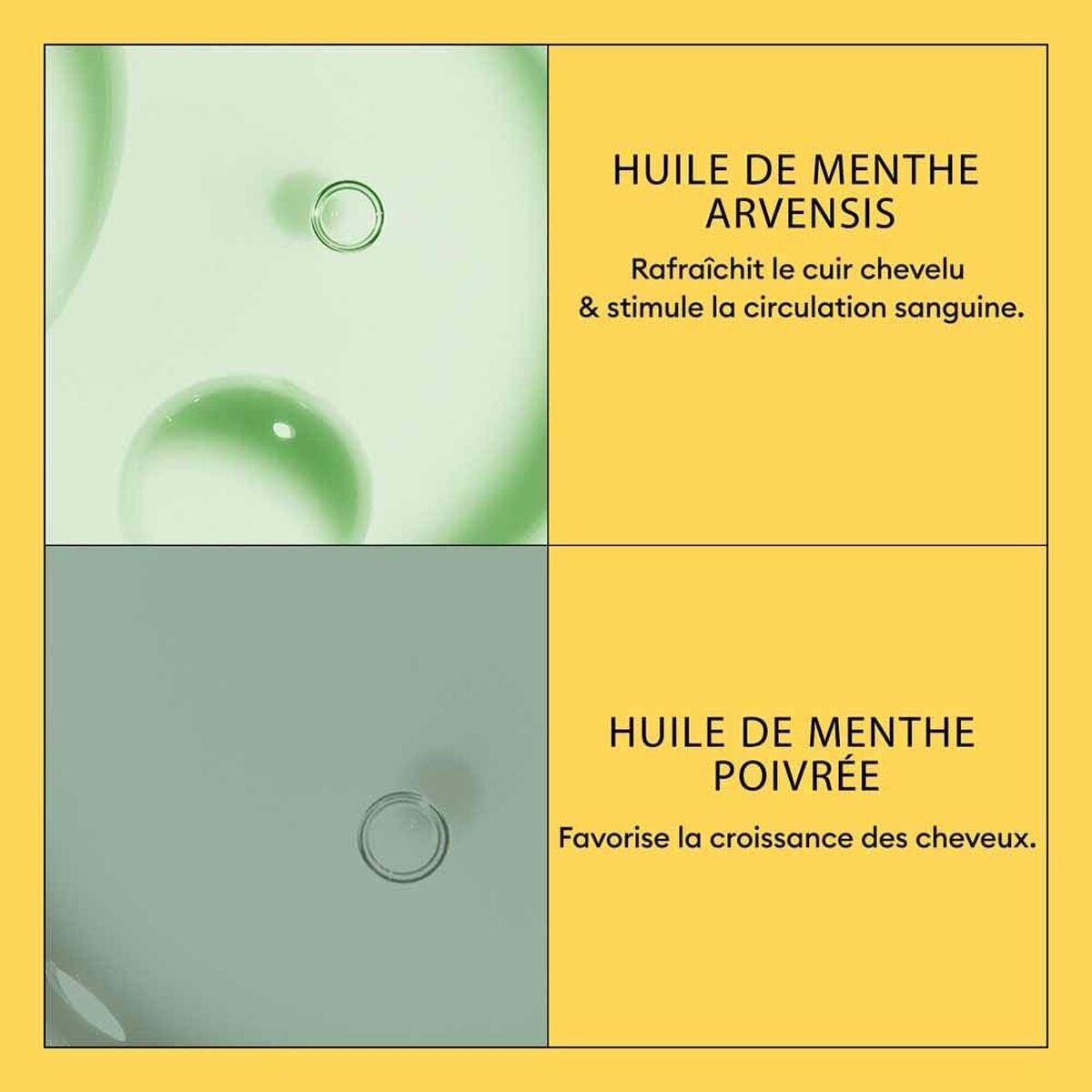 Shampoo og balsam Nioxin shampooflaske