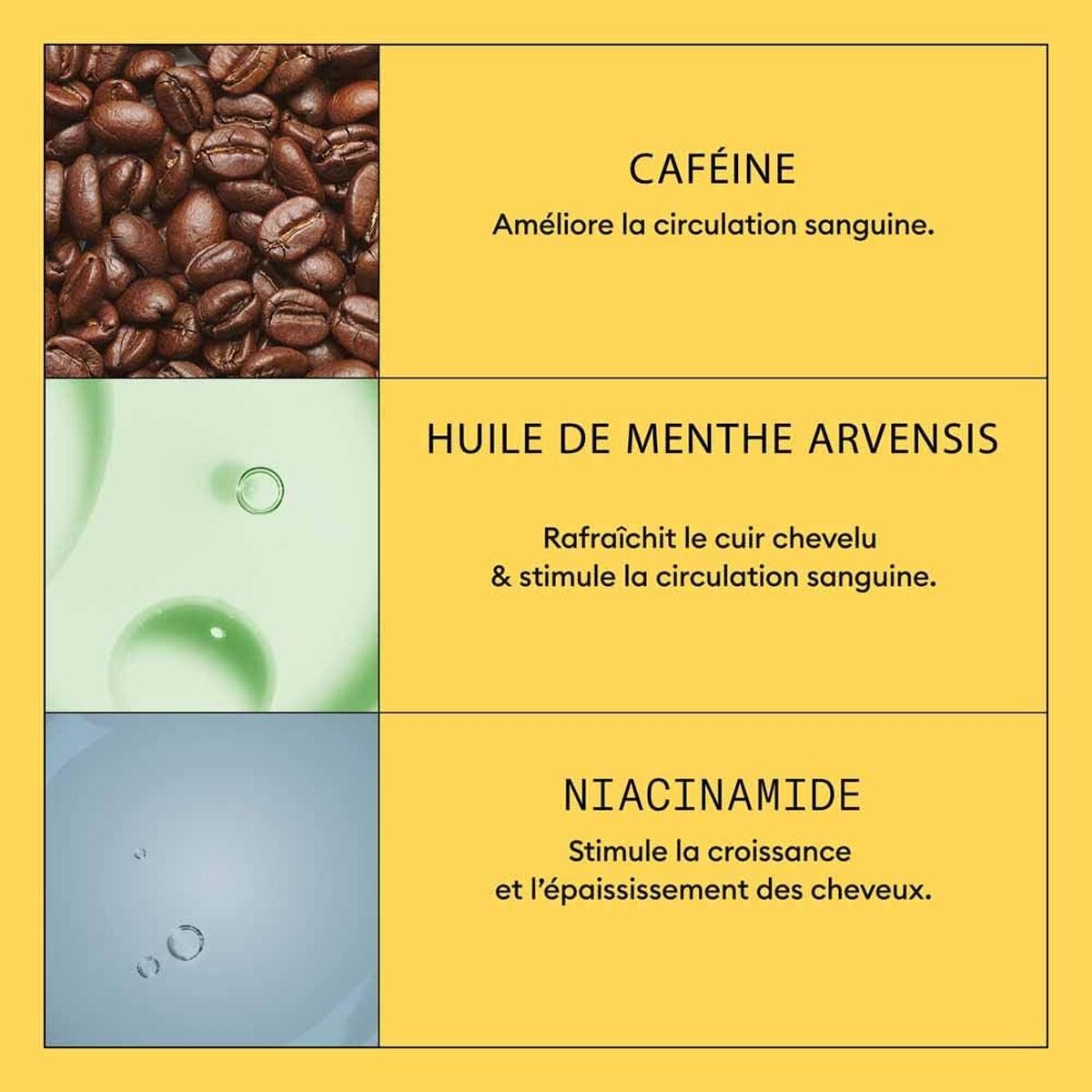 Hårgenopbygningspleje Nioxin System 1 Hovedbund 100 ml produktemballage