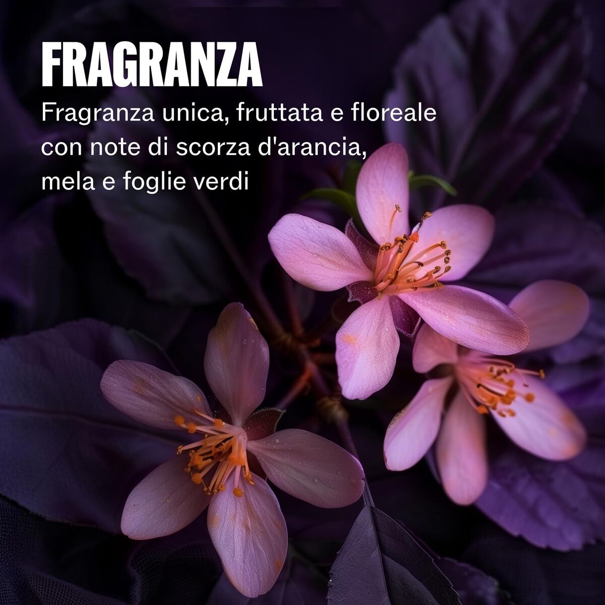 V1H0CA7215F40FD5B00621C494C9CF9E3E5RP10