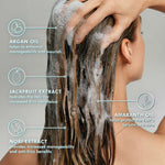 Shampoo Moroccanoil shampooflaske