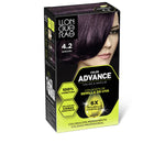 Permanent farve Llongueras COLOR ADVANCE Nº 4,2-Borgona produktemballage