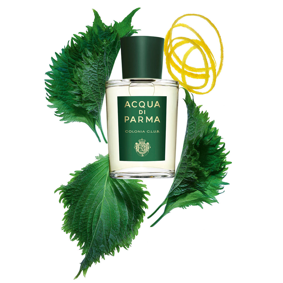 Unisex parfume Acqua Di Parma Colonia Club EDC 100 ml 96 g til mænd produktemballage