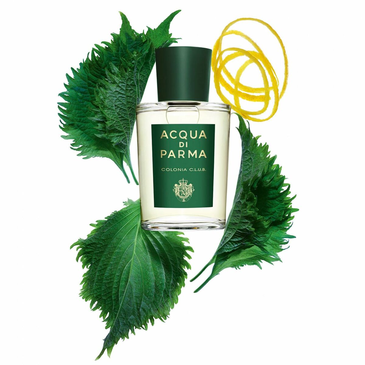 Unisex parfume Acqua Di Parma Colonia Club EDC 100 ml 96 g til mænd produktemballage