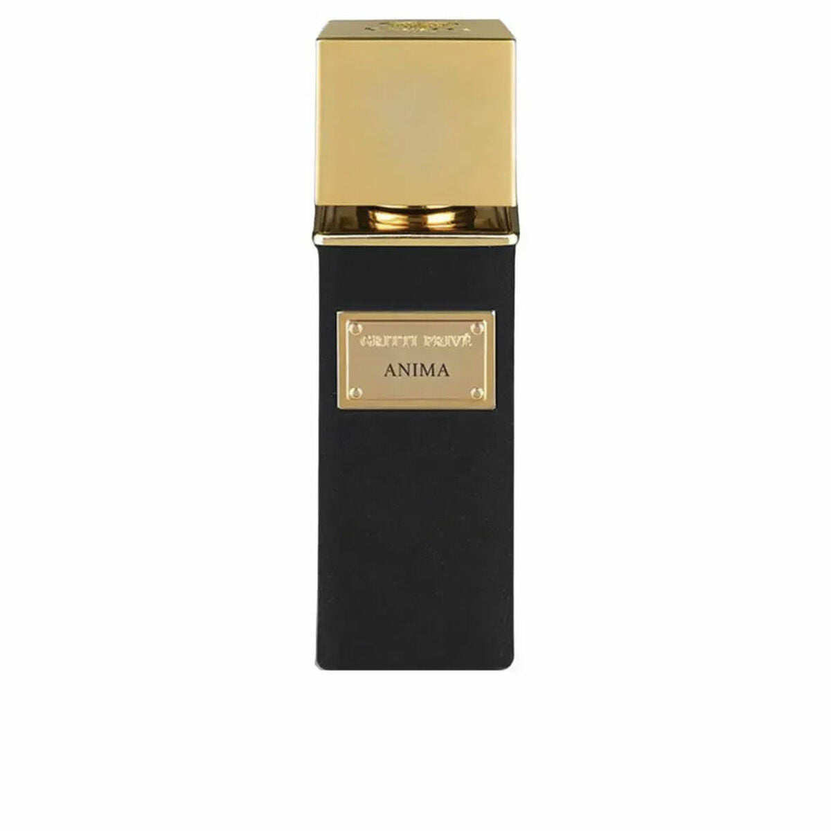 Herreparfume Gritti ANIMA EXTRAIT DE PARFUM EDP 100 ml flaske