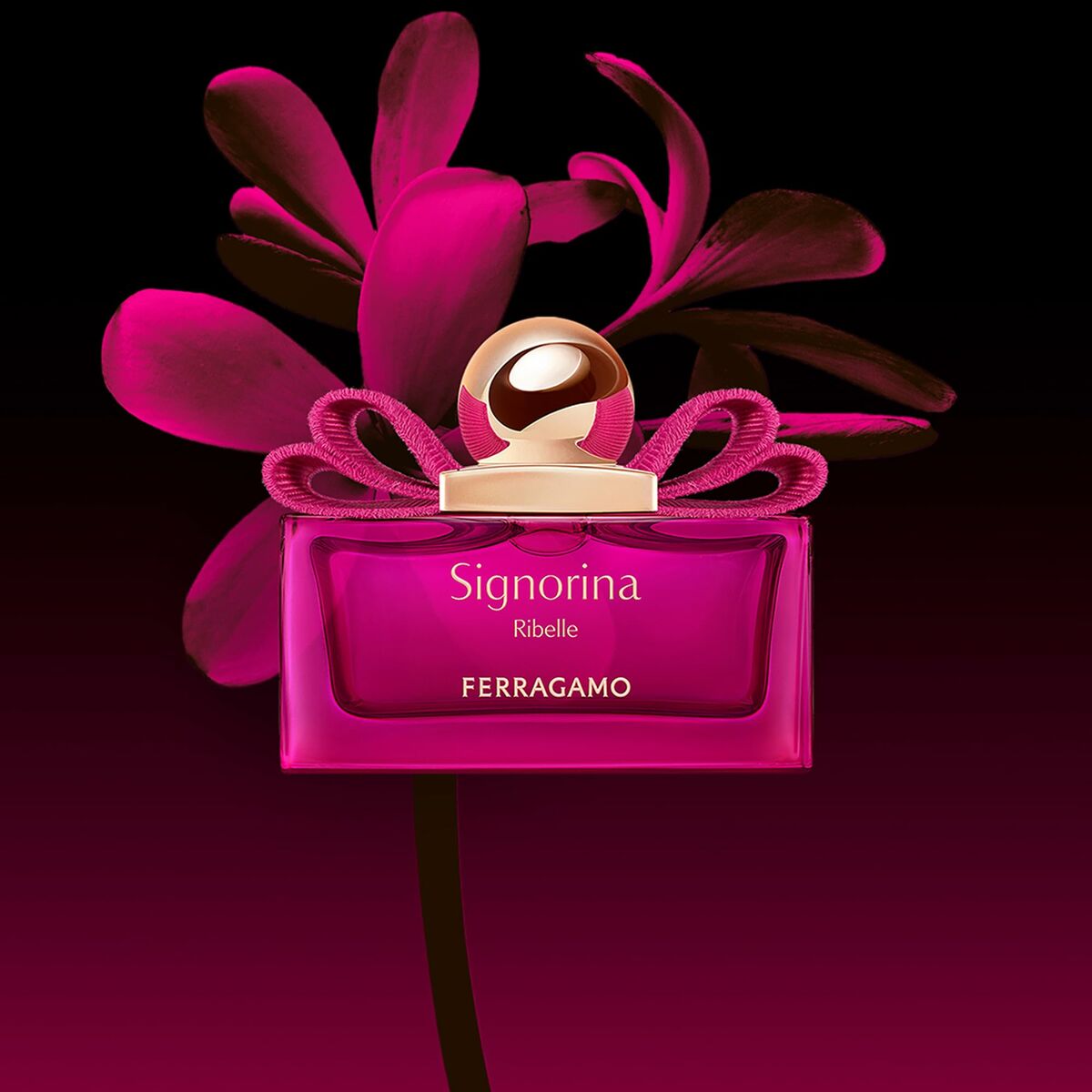 Unisex parfume Salvatore Ferragamo SIGNORINA til kvinder produktemballage