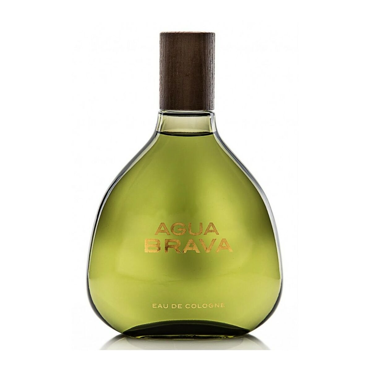 Herreparfume Puig Agua Brava EDC 100 ml til mænd produktemballage