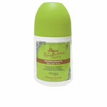 Roll-On Deodorant Alvarez Gomez Agua de Colonia Concentrada Eau Fraîche 75 ml produktemballage