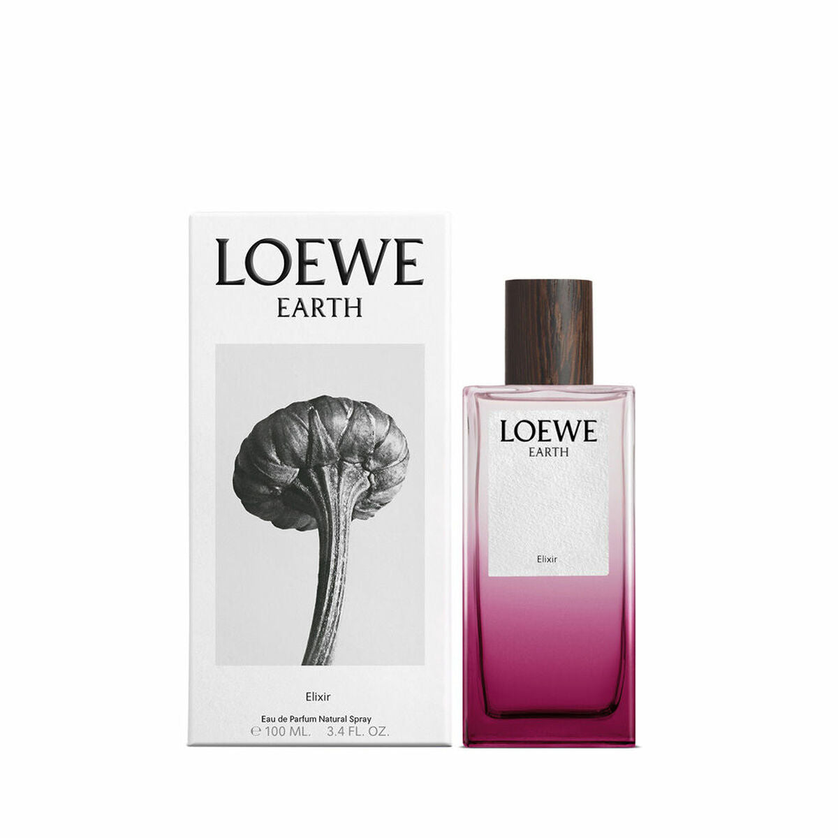 Dameparfume Loewe EARTH 100 ml produktemballage