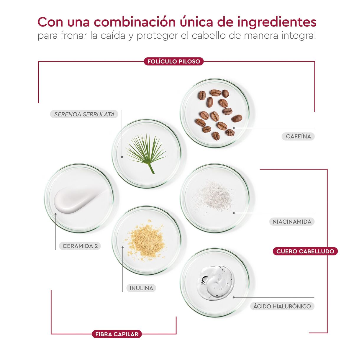 Shampoo Pilexil CHAMPÚ 450 ml shampooflaske