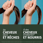 Moisturizing Shampoo Herbal Essences Coconut Scent 680 ml shampooflaske