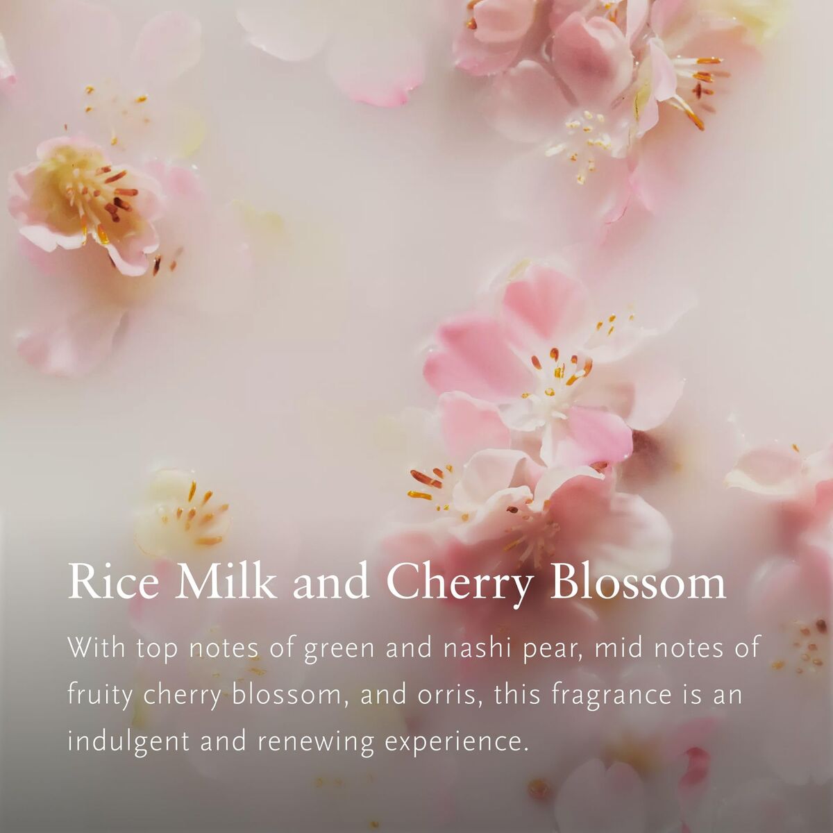 Kosmetisk sæt ritualer THE RITUAL OF SAKURA 4 stykker til kvinder produktemballage