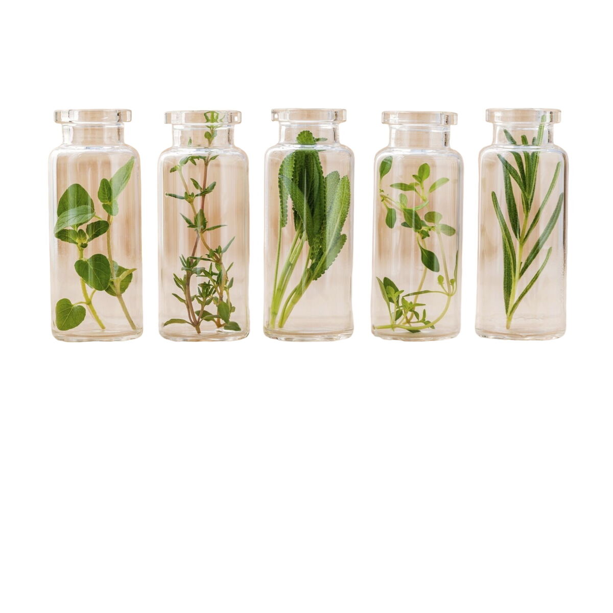 Plejecreme til åreknuder 500 Kosmetik Varesil 100 ml hudplejeemballage