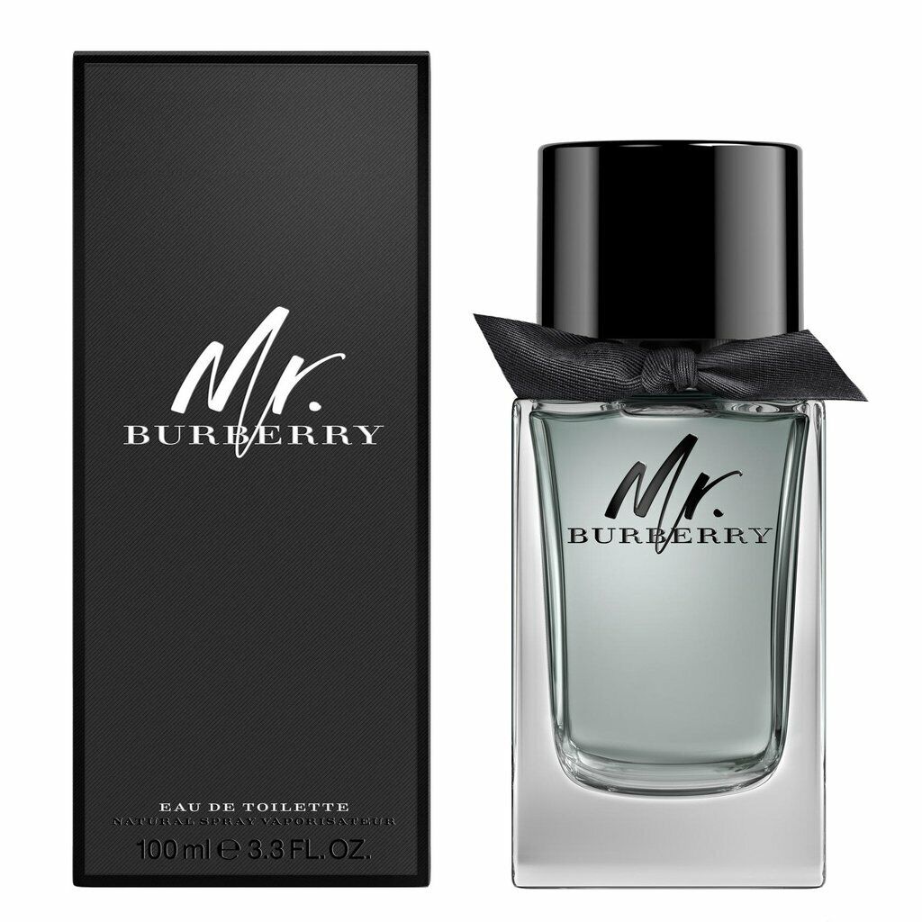 Burberry, Mr. Burberry, Eau De Toilette, For Men, 100 ml